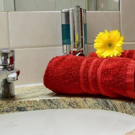 Traube 지그마링엔