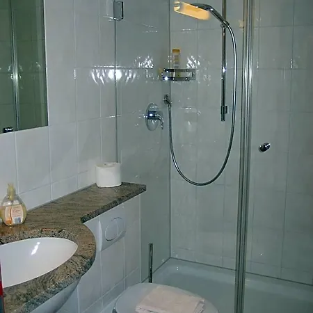 فندق Traube *