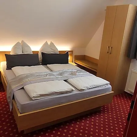 فندق Traube زيغمارينغن