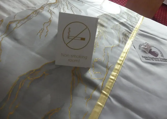 Hotel Traube Sigmaringen